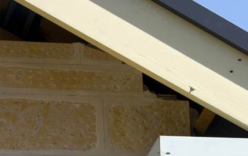 soffit repair The Haven